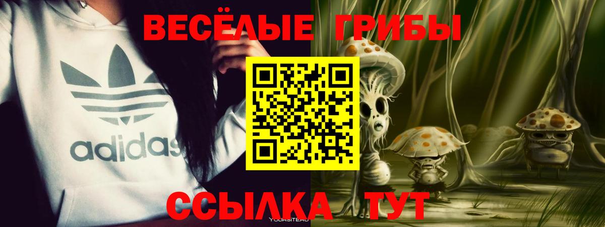 Воткинск  Галлюциногенные грибы ЛСД  Вход с VPN 